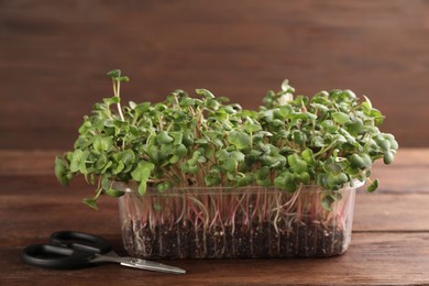 Fresh radish microgreens in plastic container and scissors on wooden table