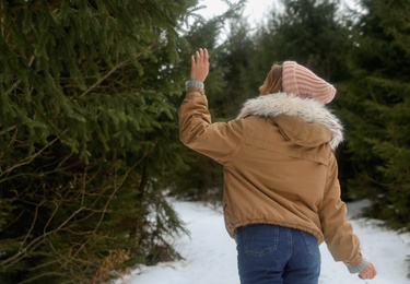 Young woman touching fir branch in snowy forest. Winter vacation