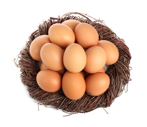 Chicken eggs and nest isolated on white, top view