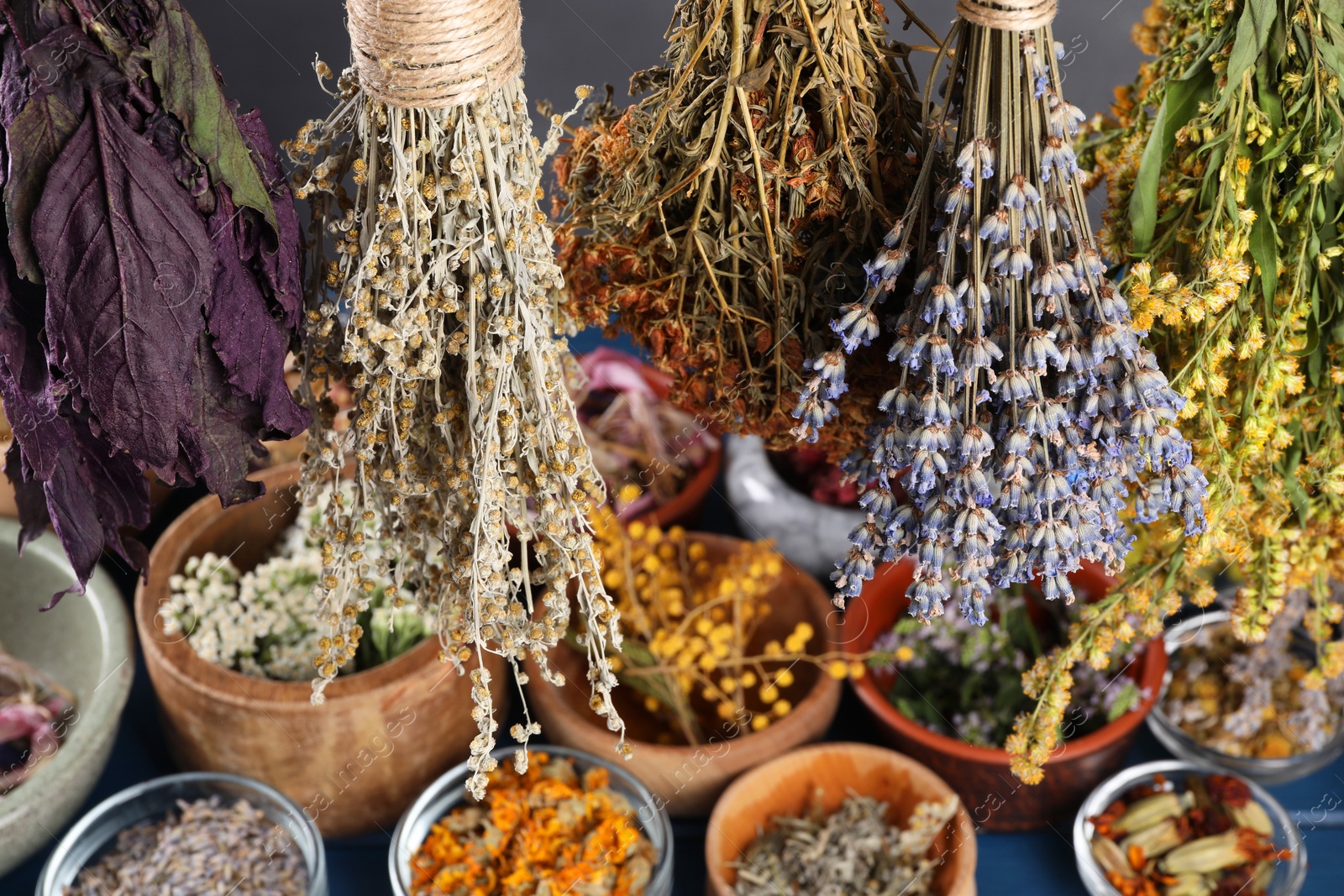 Photo of Many different herbs and flowers on grey background, closeup