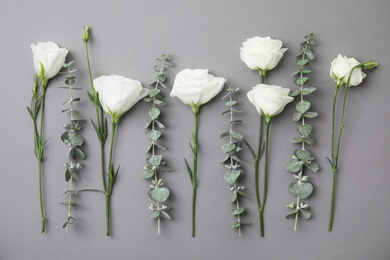 Eucalyptus branches with fresh green leaves and flowers on gray background, flat lay