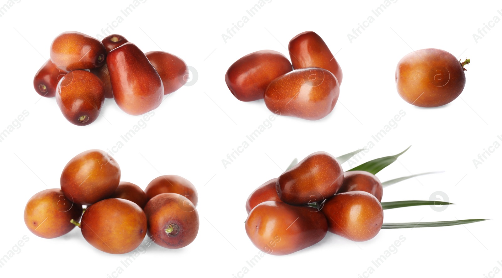 Image of Set with fresh ripe palm oil fruits on white background. Banner design