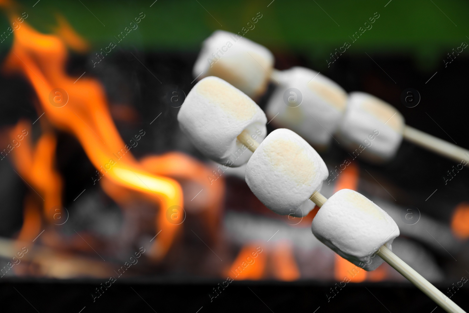 Photo of Delicious puffy marshmallows roasting over bonfire, closeup. Space for text