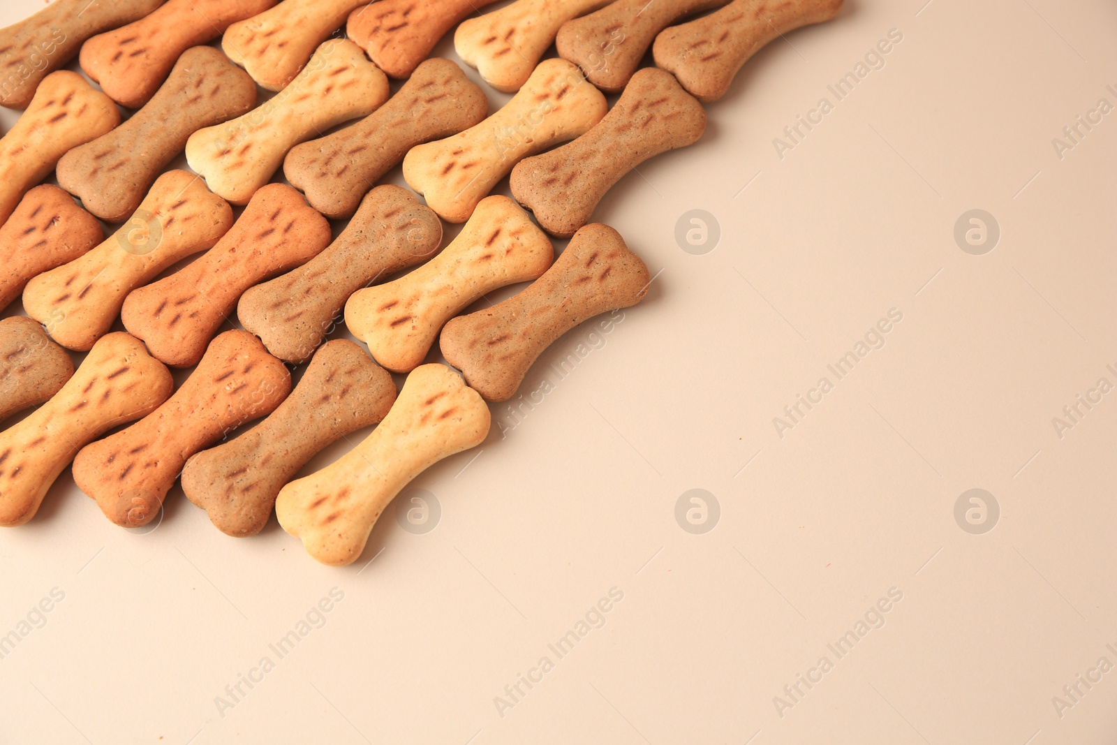 Photo of Bone shaped dog cookies on beige background, space for text