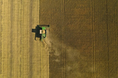 Beautiful aerial view of modern combine harvester working in field on sunny day, space for text. Agriculture industry
