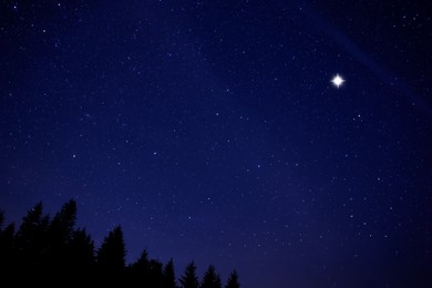 Image of Countless twinkling stars in night sky over forest