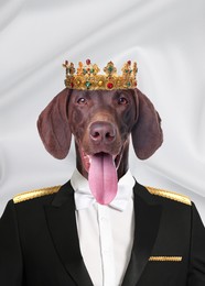 Image of German Shorthaired Pointer dog dressed like royal person against white background