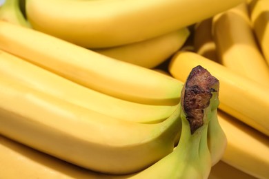 Closeup view of ripe yellow bananas as background