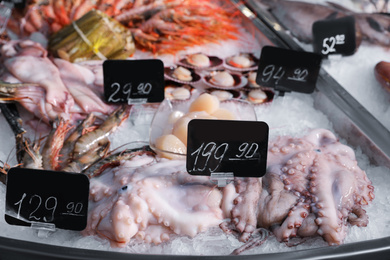 Fresh squids and other seafood on ice in supermarket