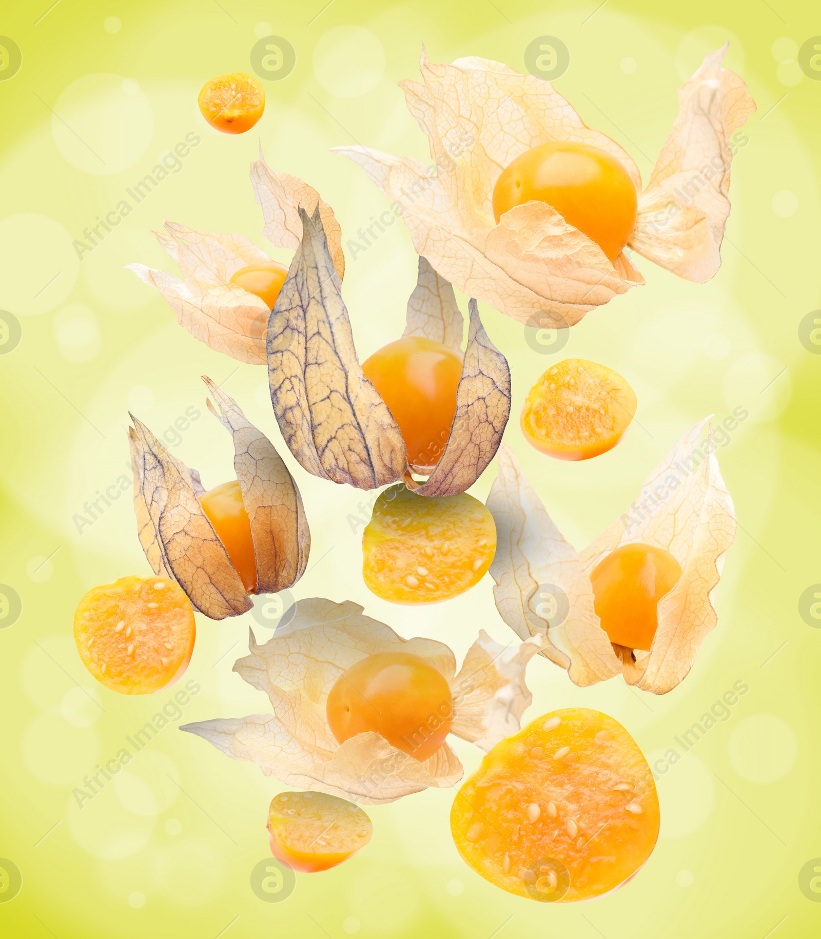 Image of Ripe orange physalis fruits with calyx falling on light green background