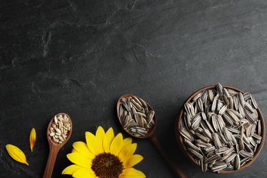 Raw sunflower seeds and flower on black table, flat lay. Space for text