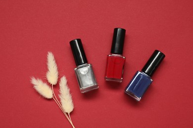 Photo of Nail polishes and decorative branches on red background, flat lay