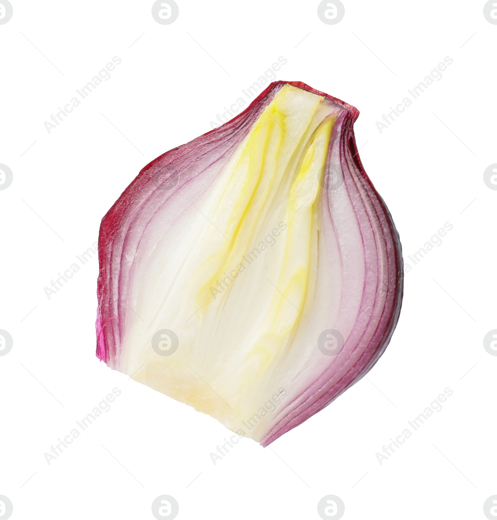 Photo of One piece of fresh onion isolated on white