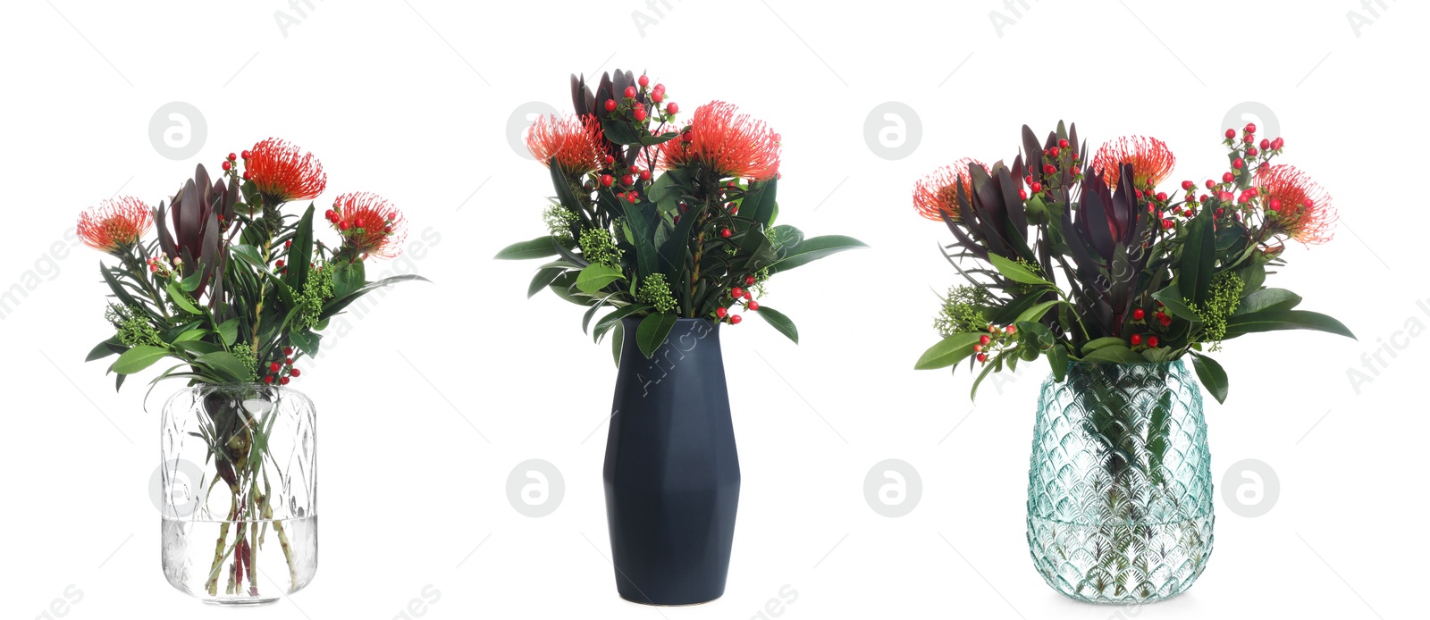 Image of Collage with beautiful flowers in different vases on white background, banner design. Exotic bouquet