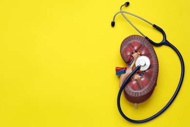 Kidney model and stethoscope on yellow background, flat lay. Space for text