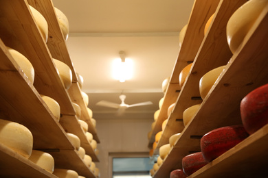 Photo of Fresh cheese heads on racks in factory warehouse
