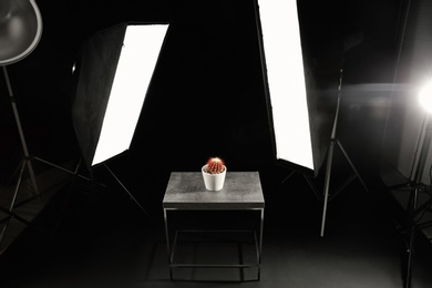 Photo of Interior of modern photo studio with table, cactus and professional lighting equipment