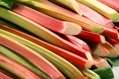 Photo of Many ripe rhubarb stalks as background, closeup