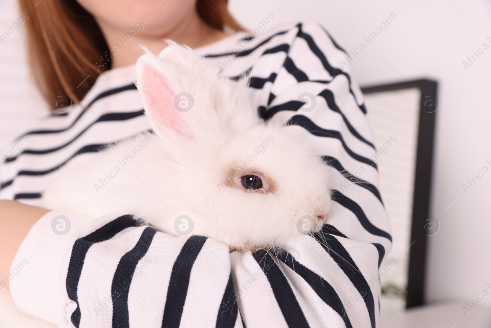 Photo of Woman with cute fluffy white pet rabbit indoors, closeup