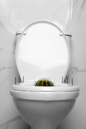 Photo of Toilet bowl with cactus and nails near marble wall. Hemorrhoids concept