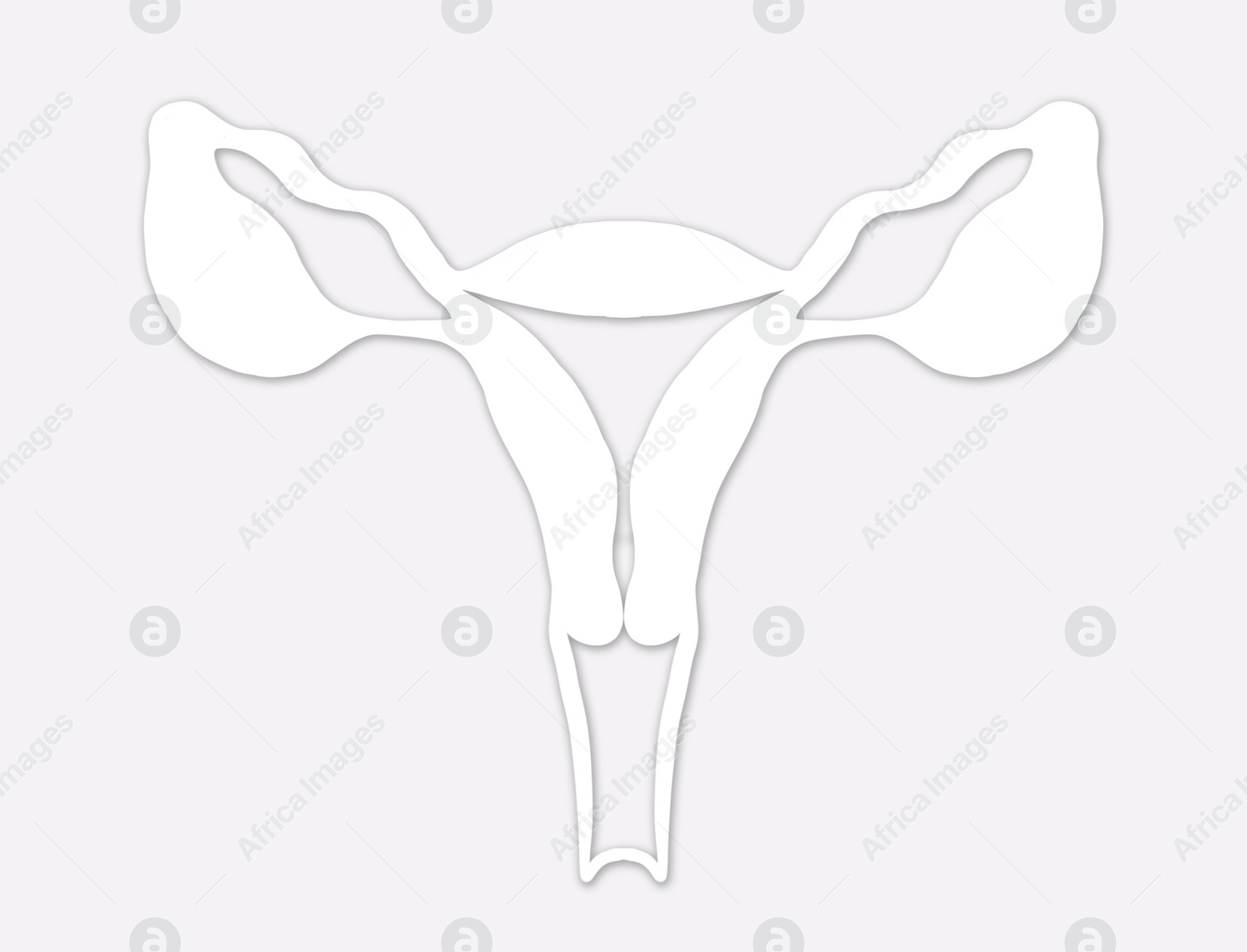 Image of Female reproductive system on light grey background, illustration