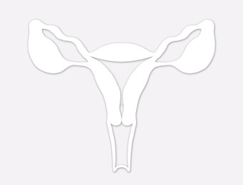 Image of Female reproductive system on light grey background, illustration