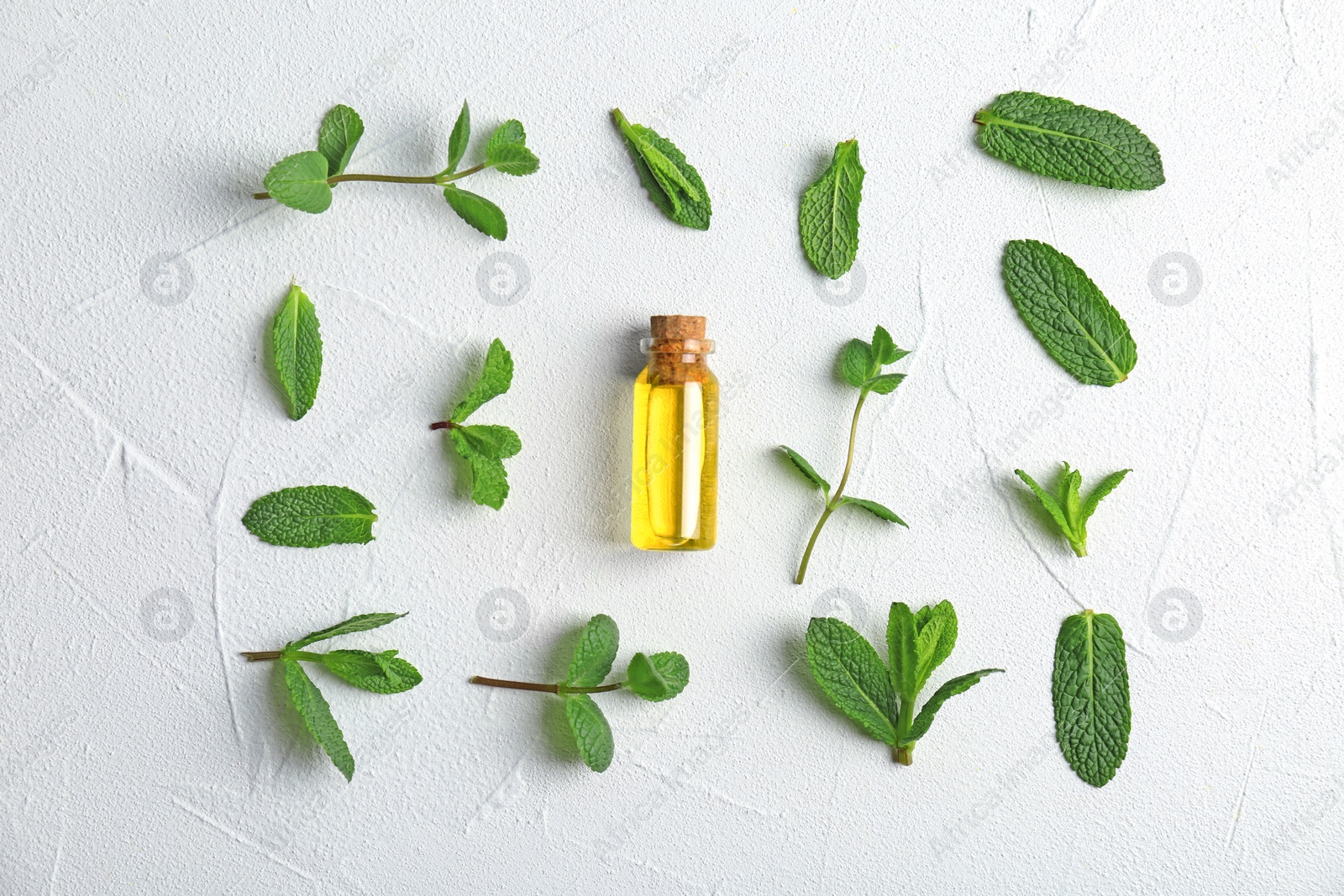 Photo of Bottle with mint essential oil and fresh herbs on white background, flat lay