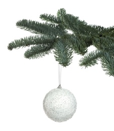 Photo of Beautiful Christmas ball hanging on fir tree branch against white background