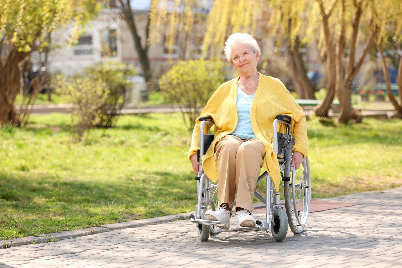 Photo of Senior woman in wheelchair at park on sunny day