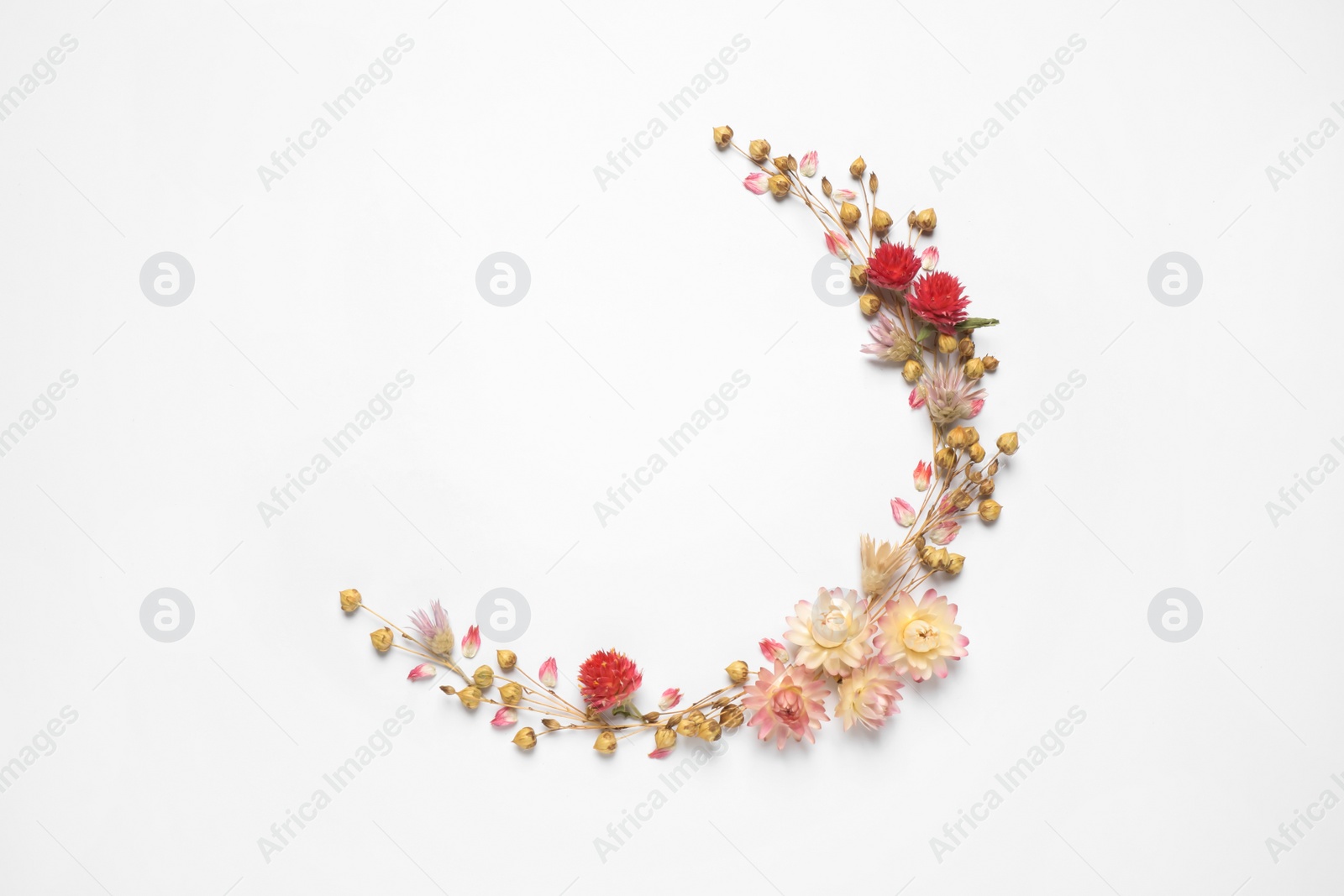 Photo of Beautiful fresh and dry flowers on white background, flat lay. Space for text