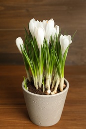 Photo of Beautiful crocuses in flowerpot on wooden table