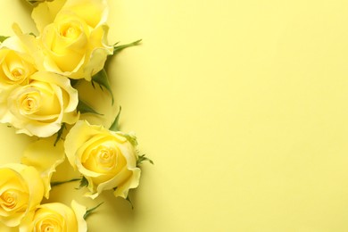 Beautiful roses on yellow background, flat lay. Space for text