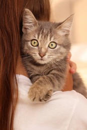 Photo of Cute little girl with kitten indoors, back view. Childhood pet