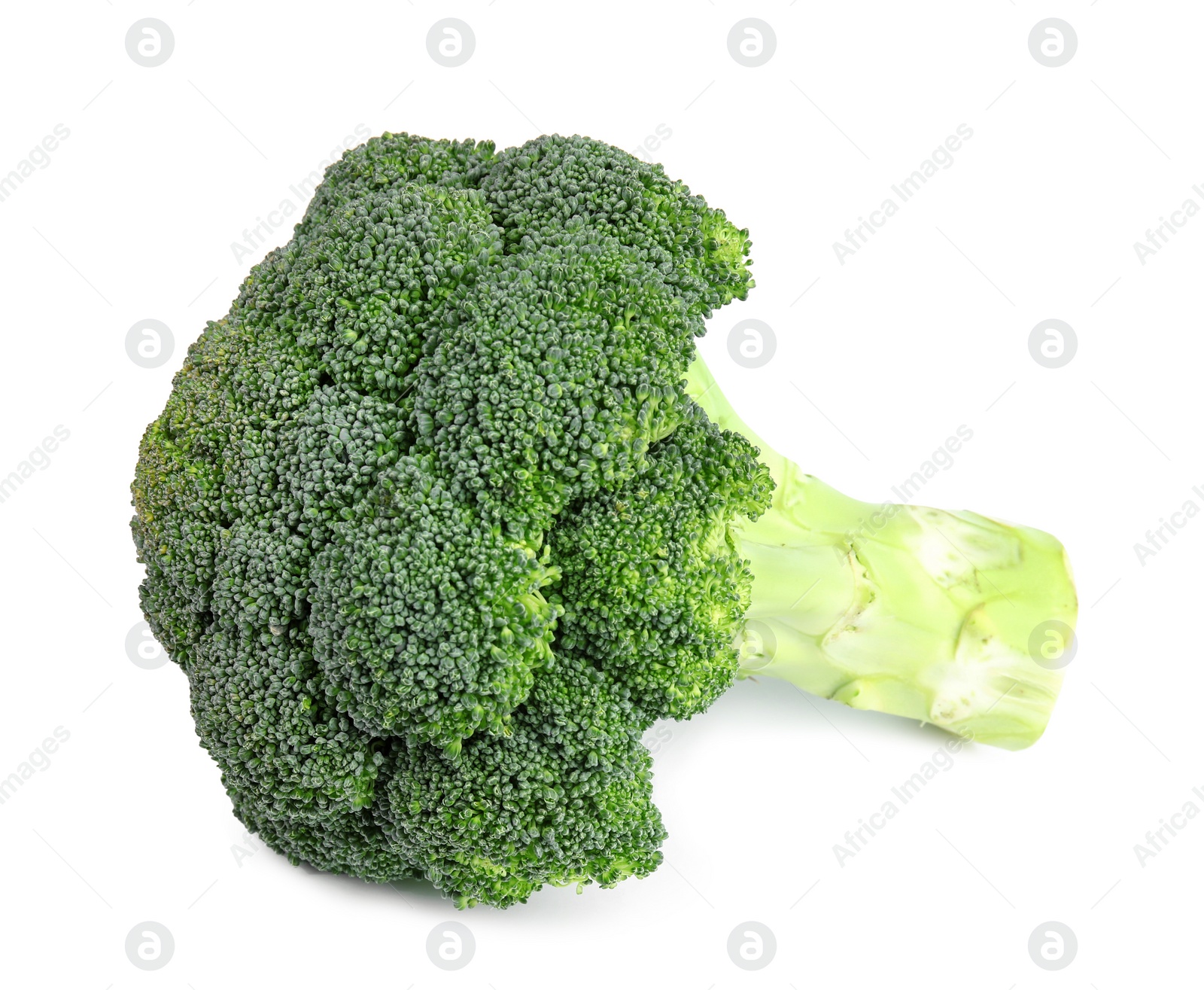 Photo of Fresh green broccoli on white background. Organic food