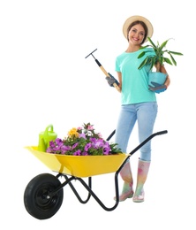 Photo of Female gardener with wheelbarrow and plants on white background