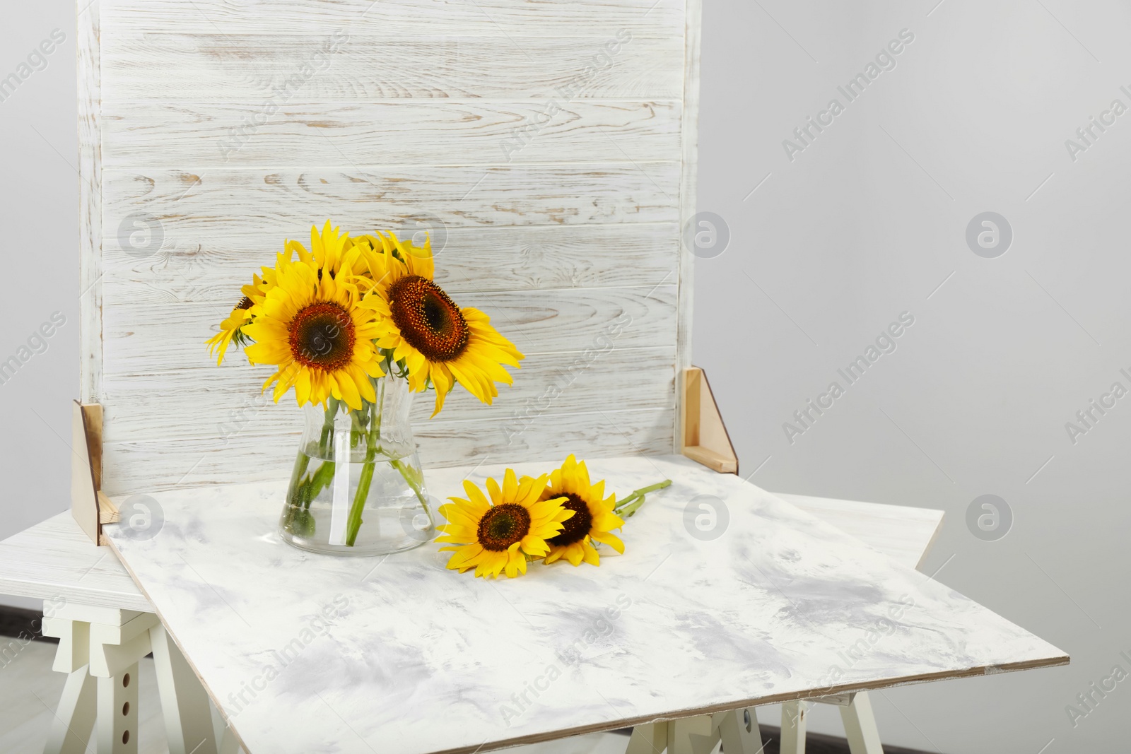 Photo of Glass vase with beautiful sunflowers and double-sided backdrop on table in photo studio