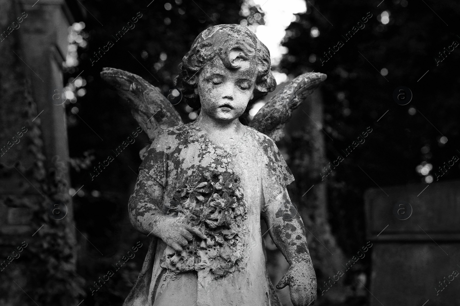 Image of Beautiful statue of angel at cemetery. Monochrome photography