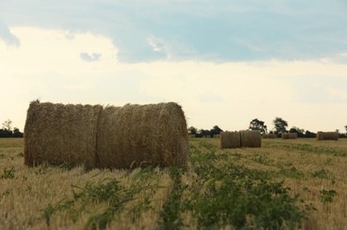 Photo of Beautiful view of agricultural field with hay bales