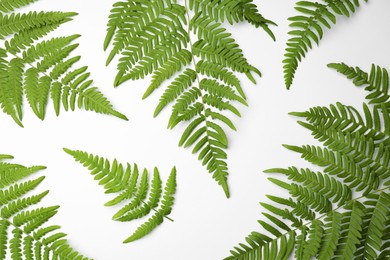 Photo of Beautiful tropical fern leaves on white background, top view