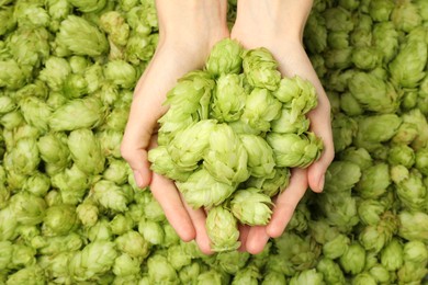 Woman holding pile of fresh ripe hops, top view