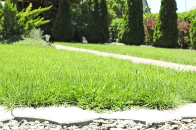 Photo of Green lawn in beautiful English style garden on sunny day