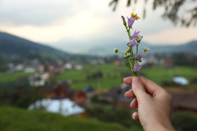 Woman holding blooming meadow flowers outdoors, closeup with space for text