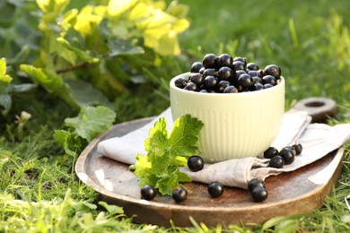 Ripe blackcurrants in bowl and leaves on green grass. Space for text