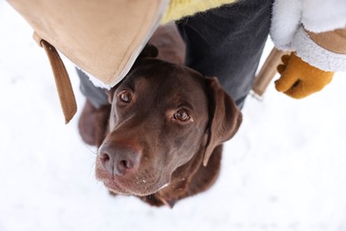 Photo of Woman with adorable Labrador Retriever dog on snow, above view