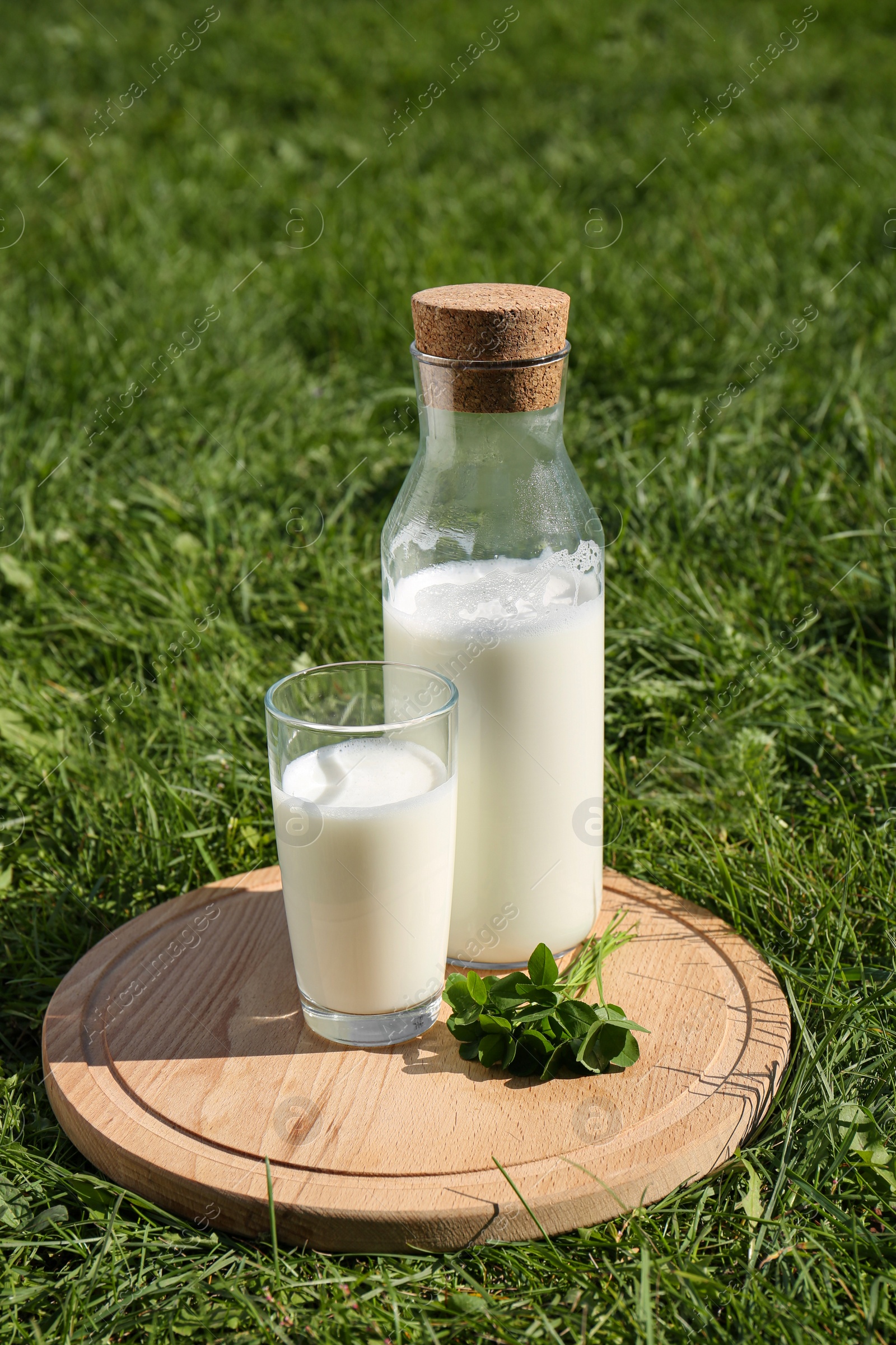 Photo of Glass and bottle of milk on wooden board outdoors