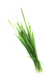 Wheat grass on white background, top view