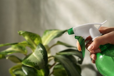 Photo of Woman spraying water onto houseplant at home, closeup