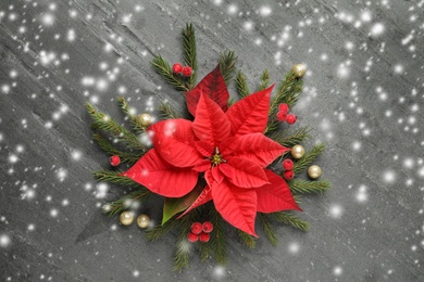 Image of Flat lay composition with traditional Christmas poinsettia flower on grey table. Snowfall effect