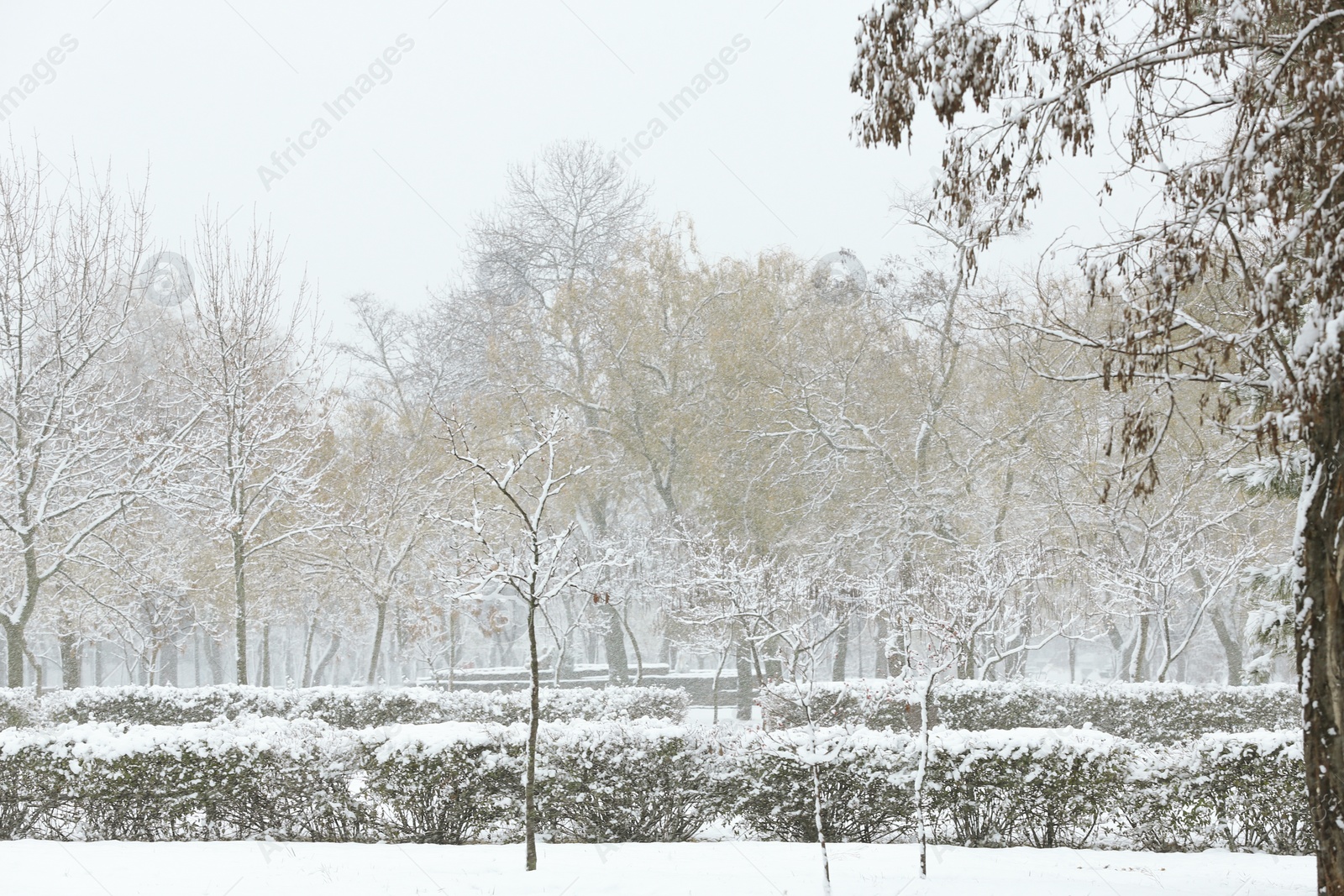 Photo of Beautiful view of city park covered with snow in winter