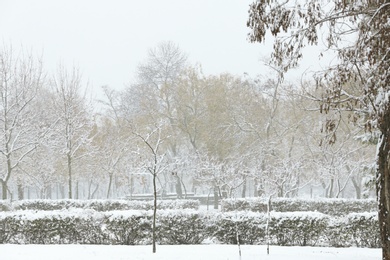 Beautiful view of city park covered with snow in winter